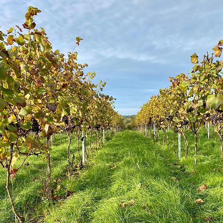 Potts Farm Villa Tenterden Luaran gambar