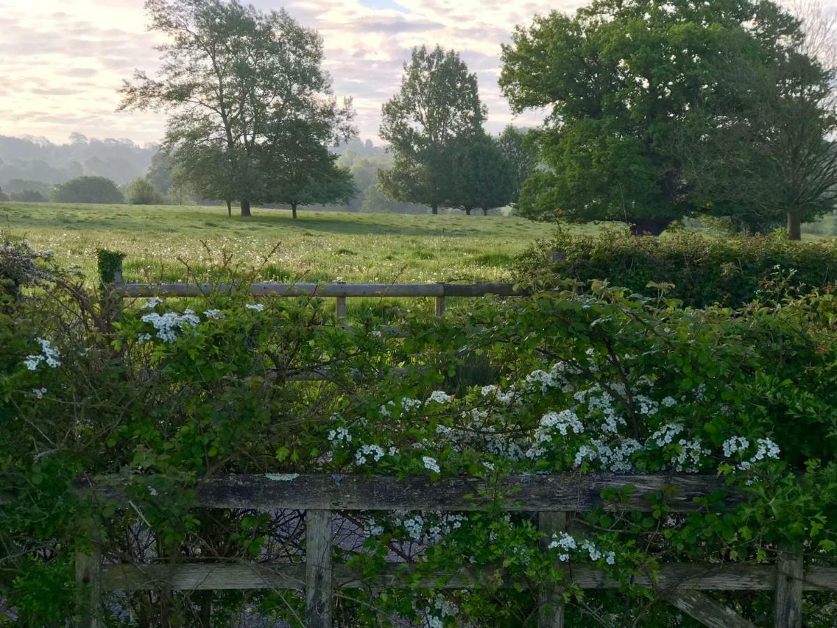 Potts Farm Villa Tenterden Luaran gambar