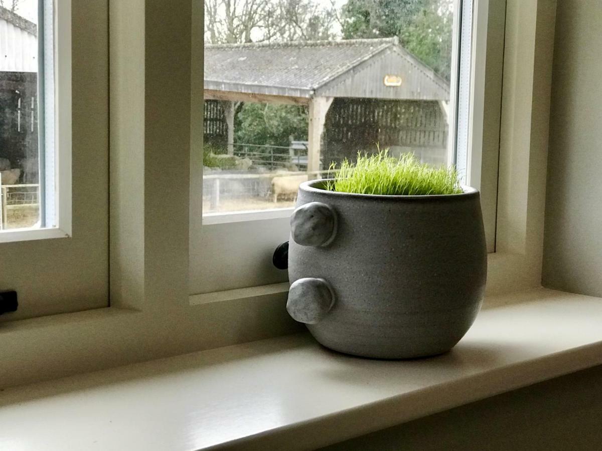 Potts Farm Villa Tenterden Luaran gambar